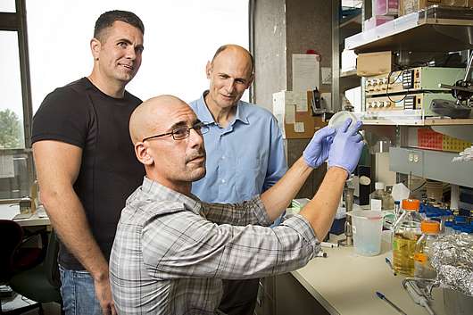 From left: Emmanuel Nivet and Juan Carlos Belmonte. Seated: Ignacio Sancho Martinez. (Source: Salk Institute for Biological Studies)