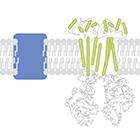 EMD Millipore EMD Millipore